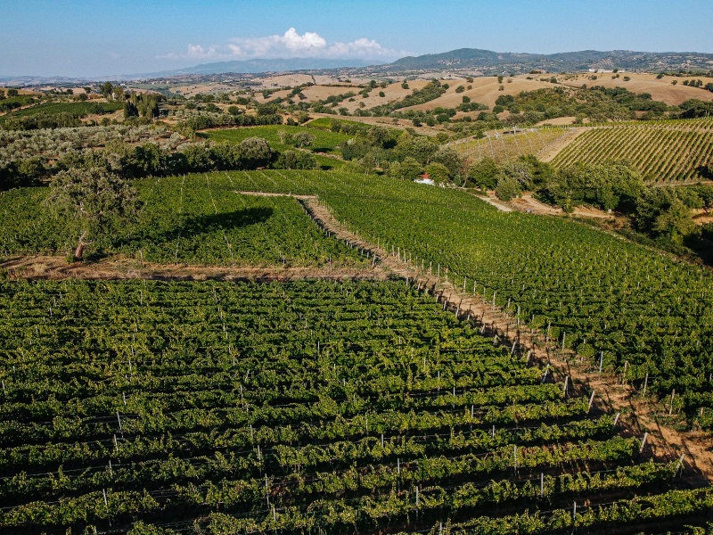 DJI_0190-MAREMMA-TERRITORIO.jpg