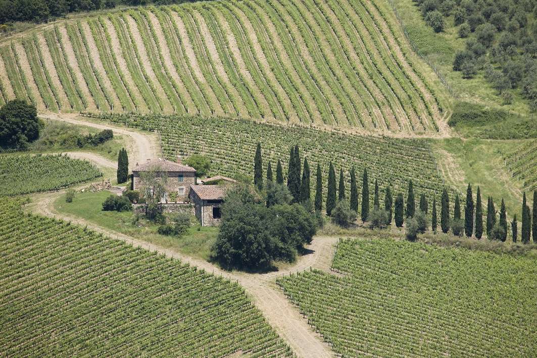 Vigna-Casi-_L.jpg