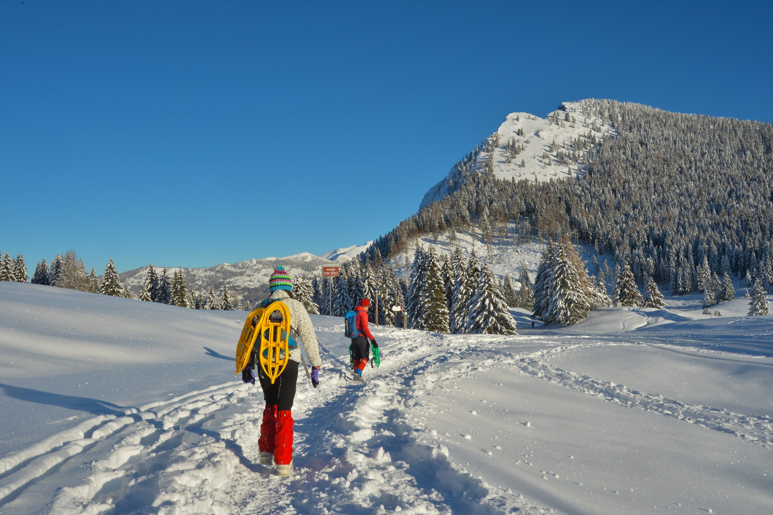 Passo-Vezzena-Invernale-©-FOTO-DANIELE-MOSNA-8395-scaled.jpg