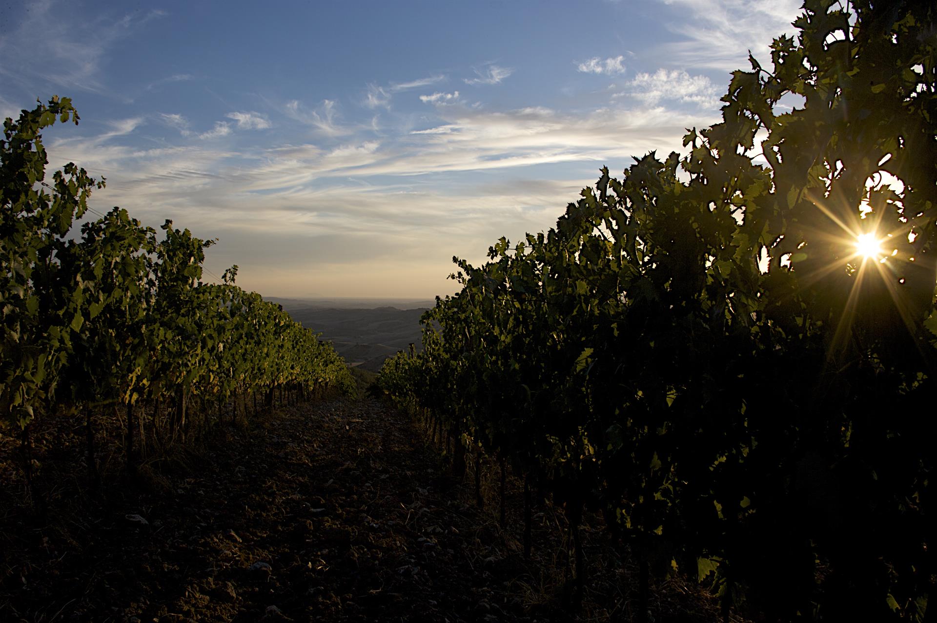 ALTRA-TOSCANA.jpg