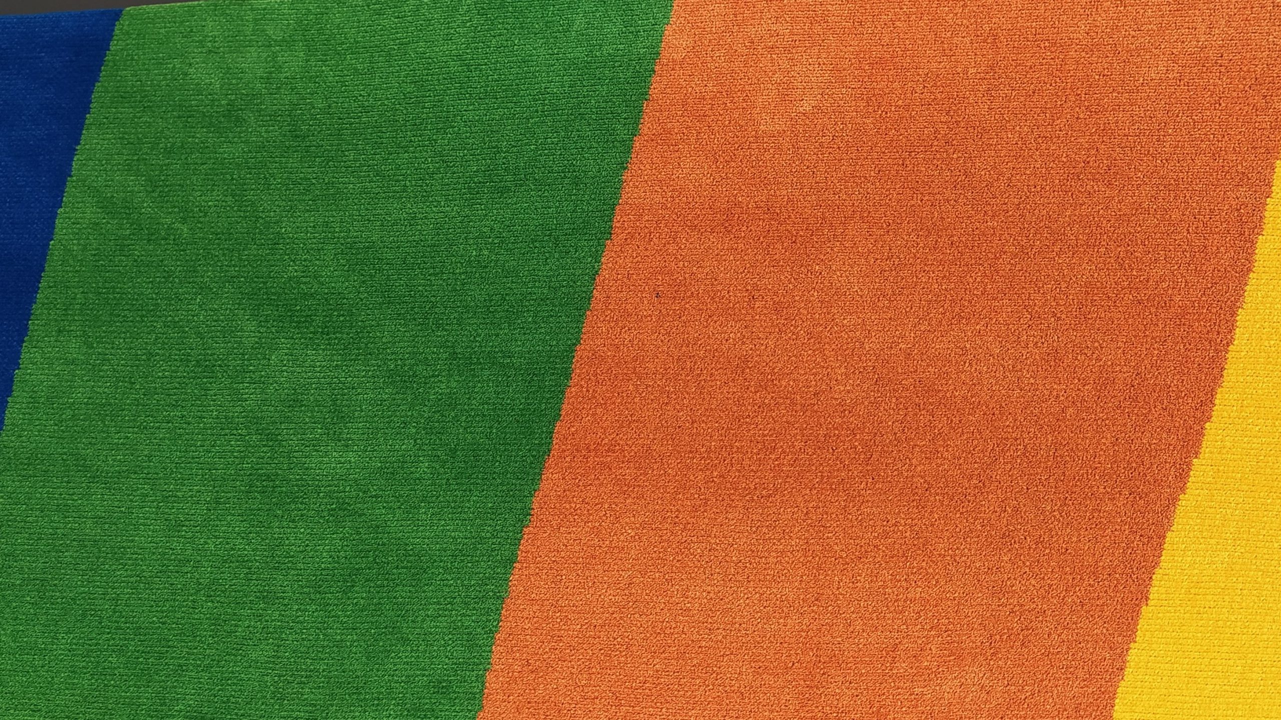 monticolor-scaled.jpg