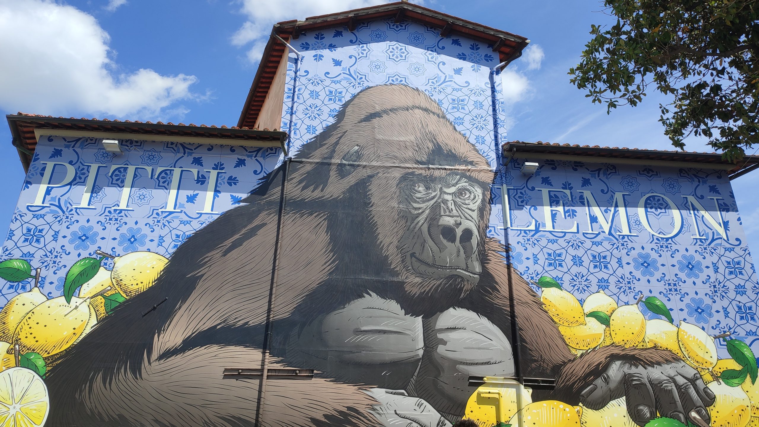 pitti-lemon-scaled.jpg
