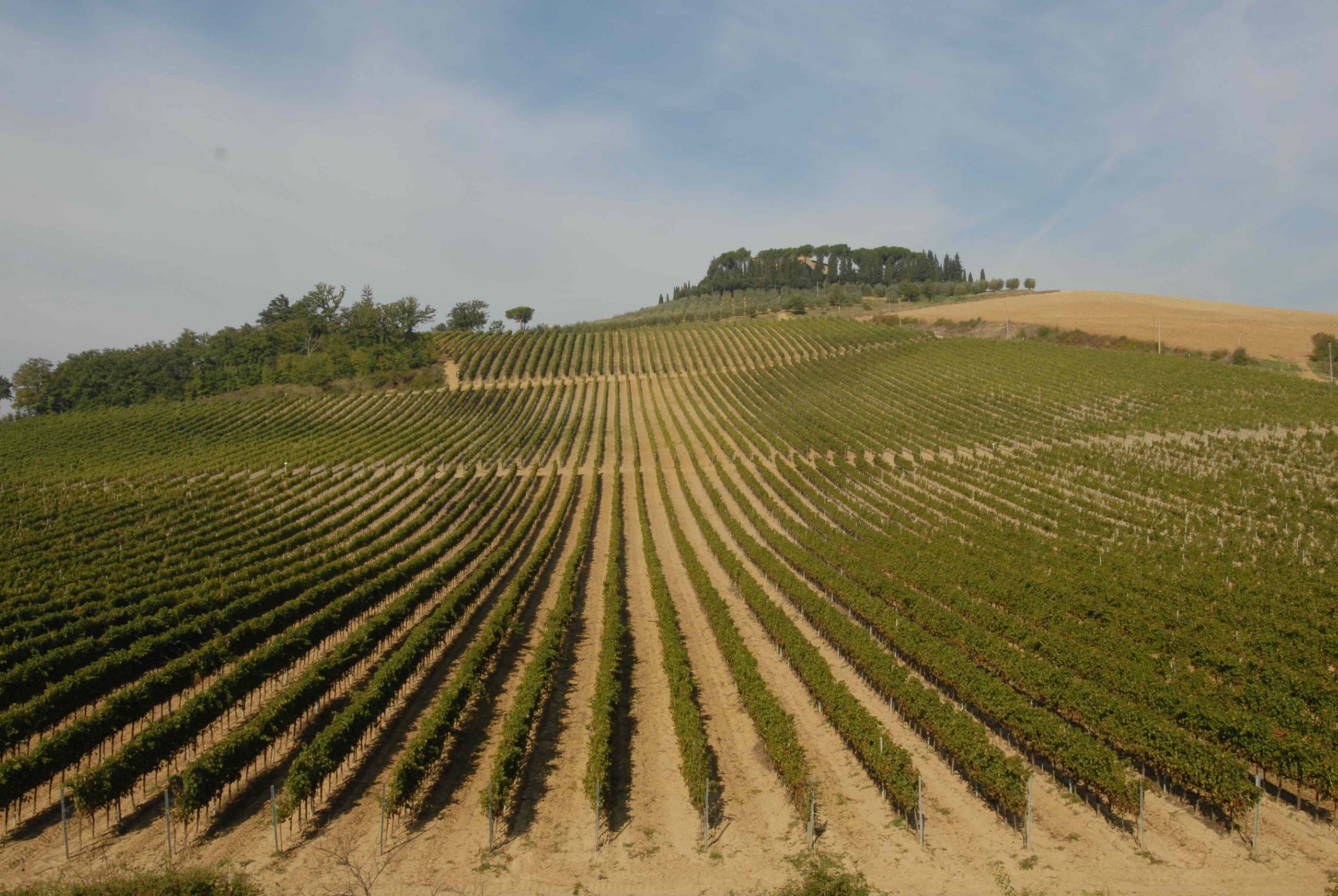 Foto-1-TERRITORIO-scaled.jpg
