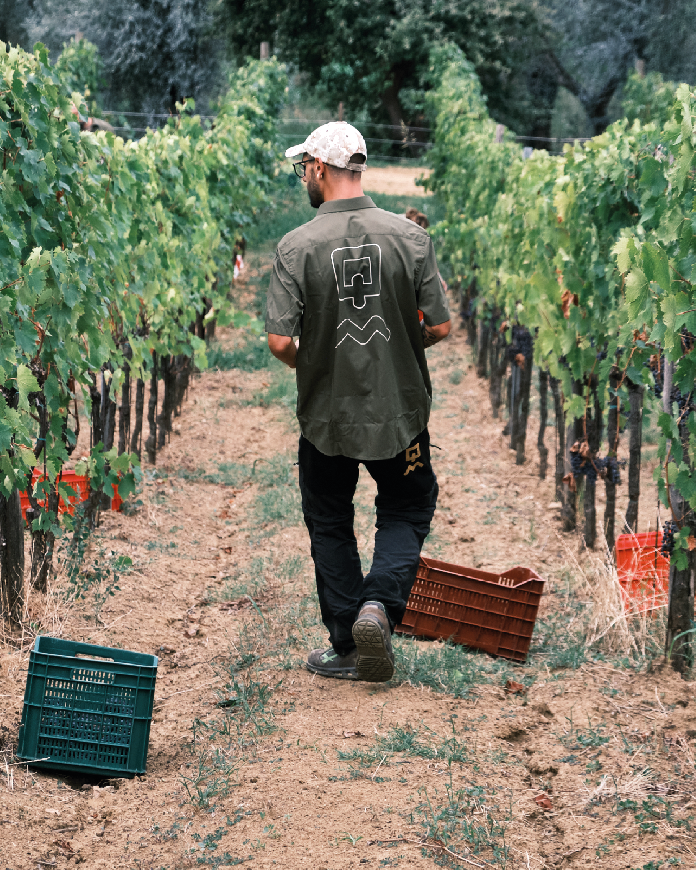 Querciamatta_cantineAperte25.png