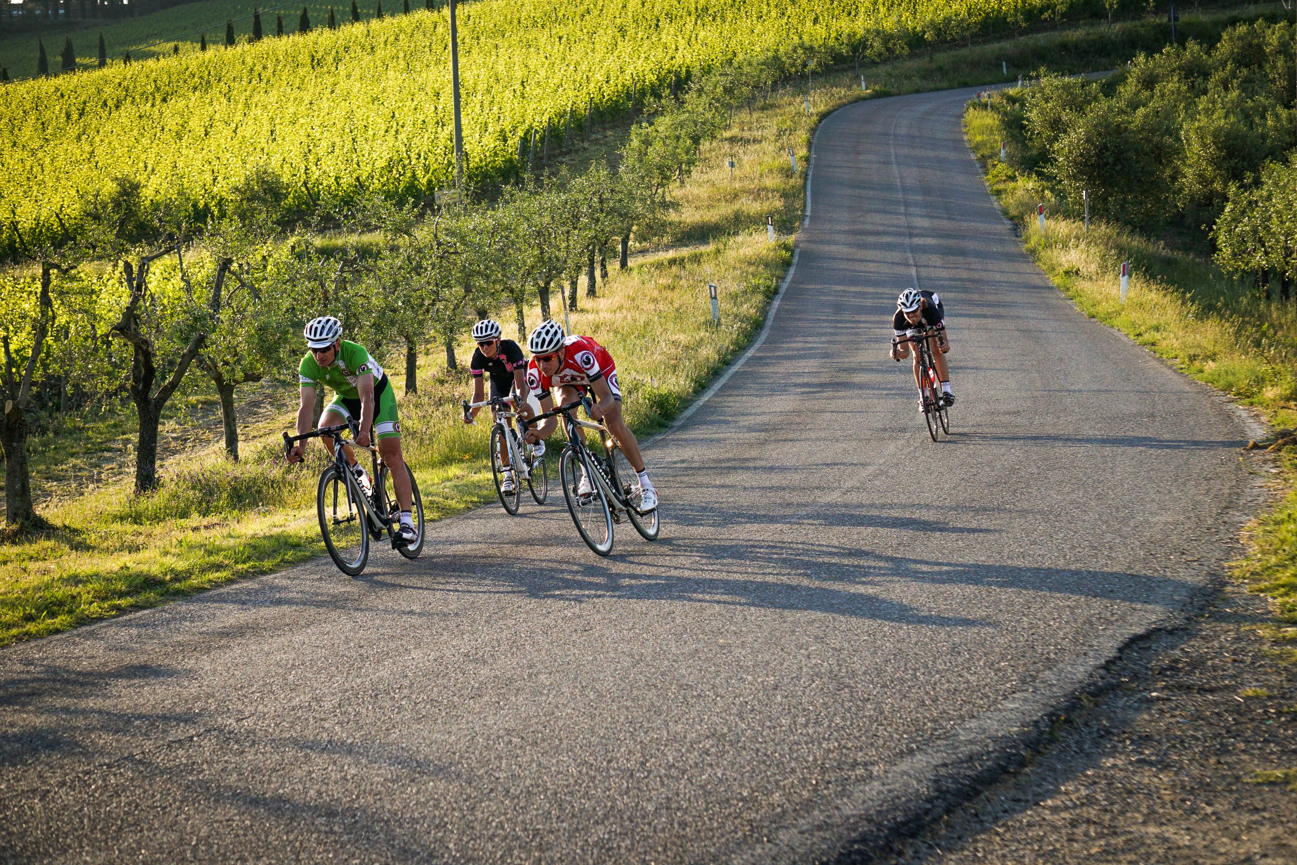 chianti-08164-scaled.jpg